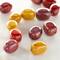 12 Pack: Mixed Multicolor Jasper Oval Beads, 10mm by Bead Landing™